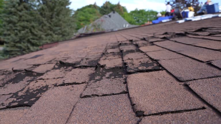 Best Solar Panel Roofing Installation  in Pierce, CO