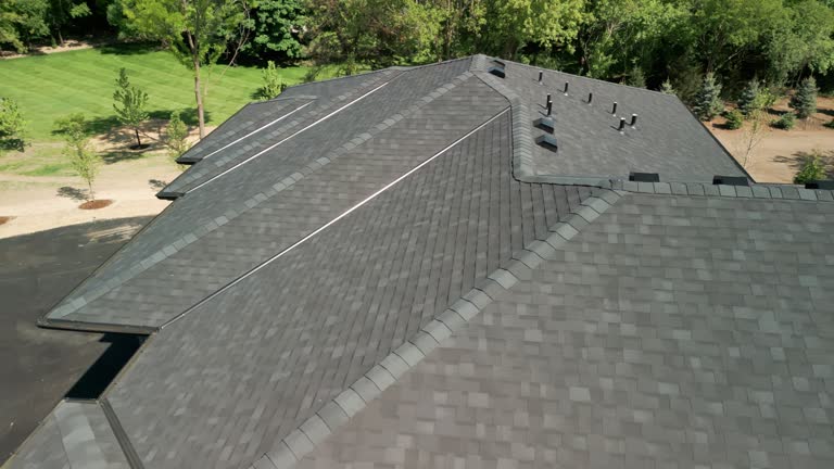 Best Asphalt Shingle Roofing  in Pierce, CO