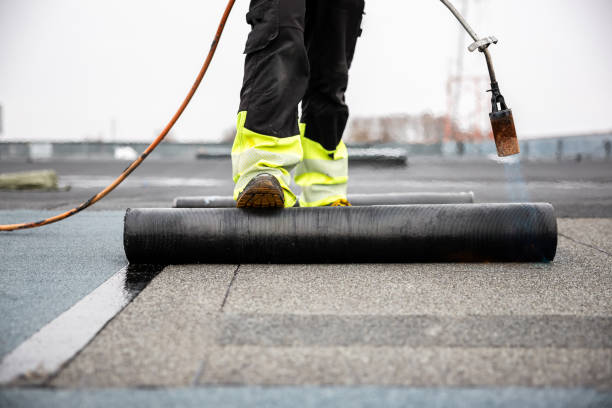Best Sheet Metal Roofing  in Pierce, CO